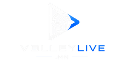 VNL Logo